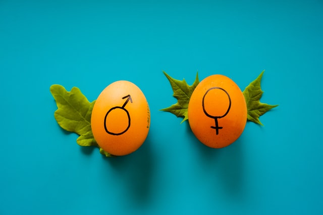 two eggs with male and female symbol